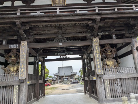 PXL_20250428_053755309