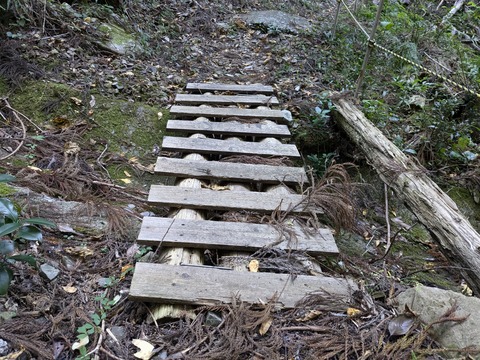 PXL_20241120_011809205