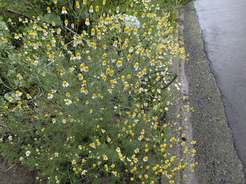 PXL_20250428_014440653