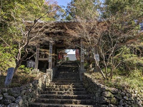 PXL_20240331_000739370