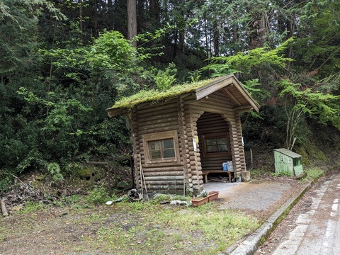 PXL_20240426_032850790