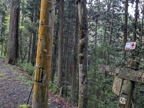 PXL_20240426_211121622