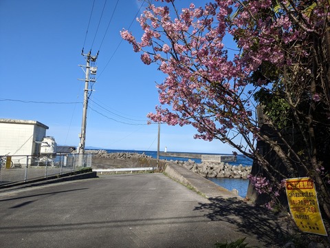 PXL_20240327_064541245