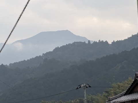 PXL_20241026_231348743