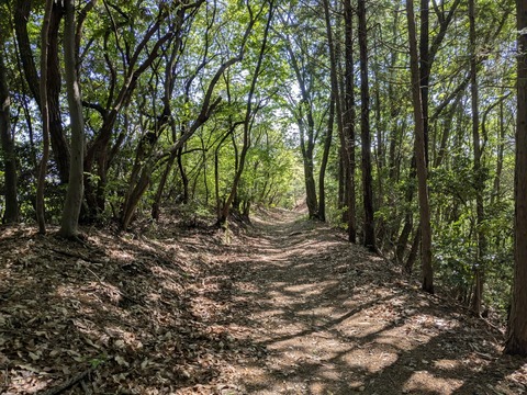 PXL_20250429_004624809