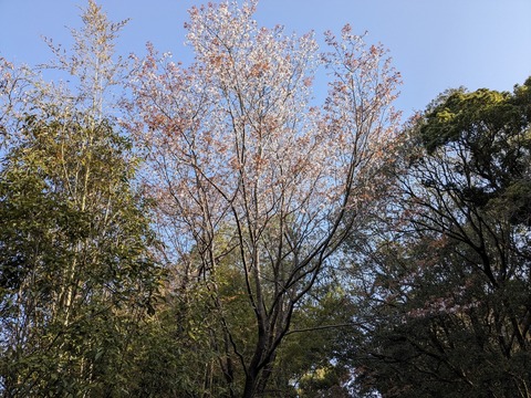 PXL_20240329_224739909