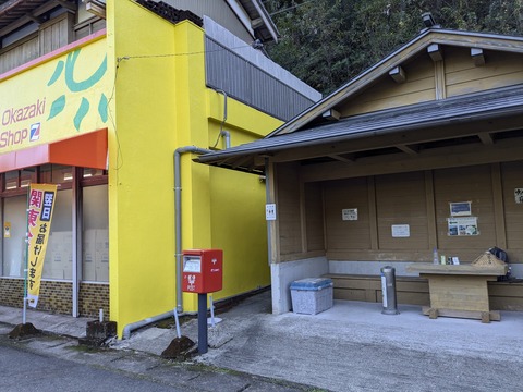 PXL_20241120_023325006