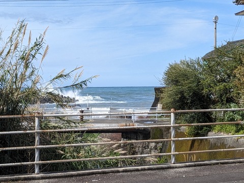 PXL_20240329_004738399