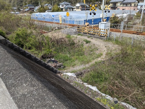 PXL_20240330_045808369