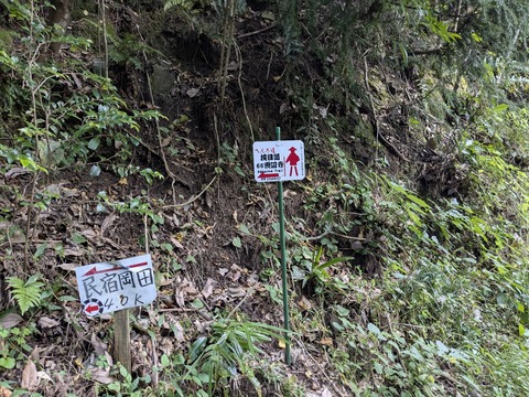 PXL_20251102_045334809