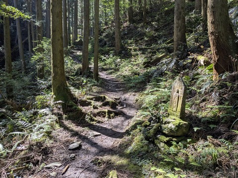 PXL_20250430_003112481