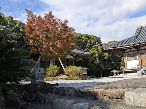 PXL_20251126_043503613