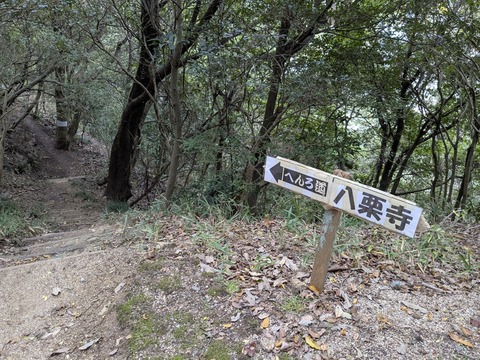 PXL_20251112_004358038