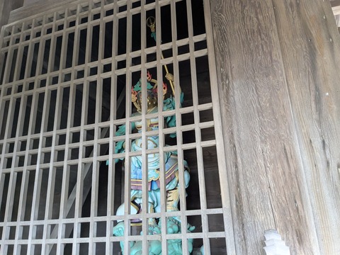 PXL_20251112_041902542