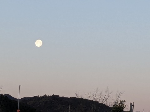 PXL_20240326_210236614