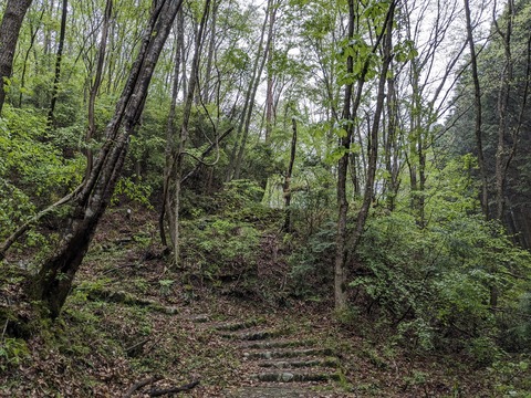 PXL_20240426_225018613