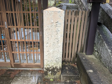 PXL_20240423_053404522