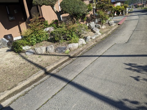 PXL_20240424_230406662