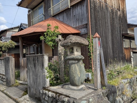PXL_20250501_061550458