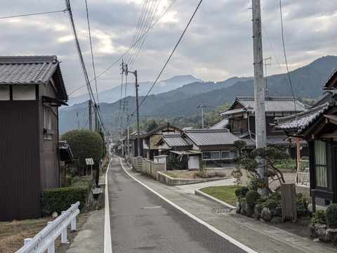 PXL_20241026_231357389