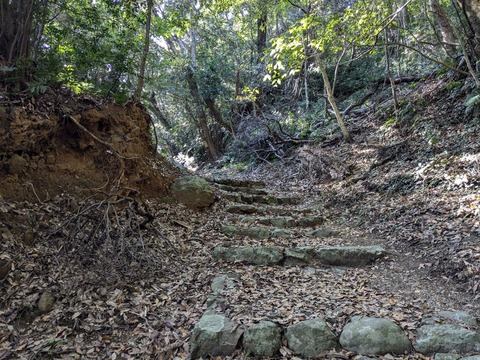 PXL_20241122_022151481