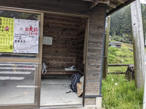 PXL_20240427_014541114