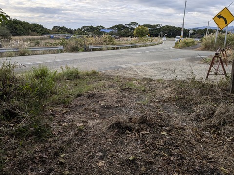 PXL_20241120_224145702