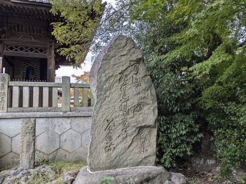 PXL_20241108_000731179