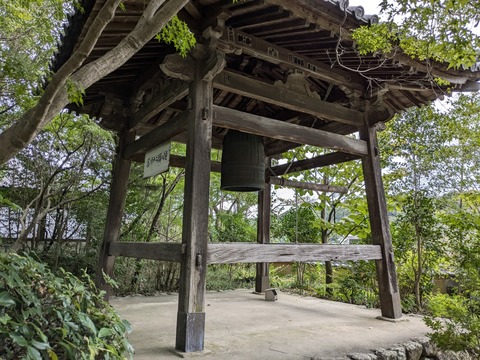 PXL_20241022_023106658