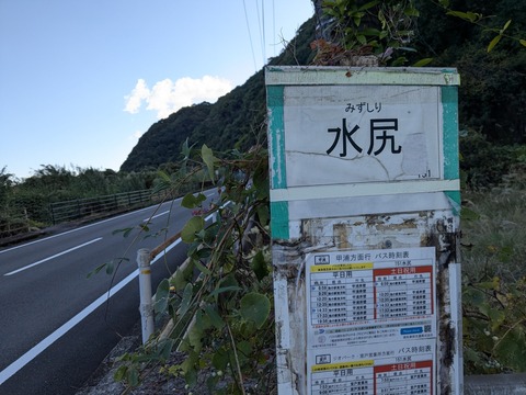 PXL_20251123_060634743