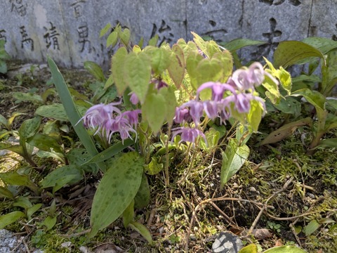 PXL_20250430_015214924