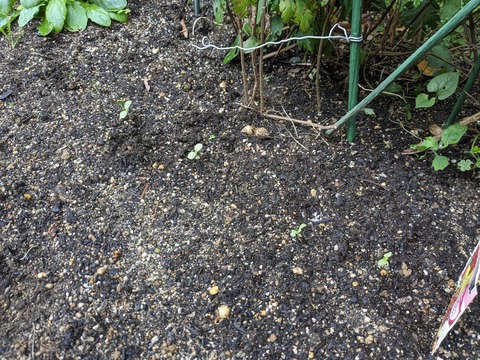 PXL_20240527_000008897