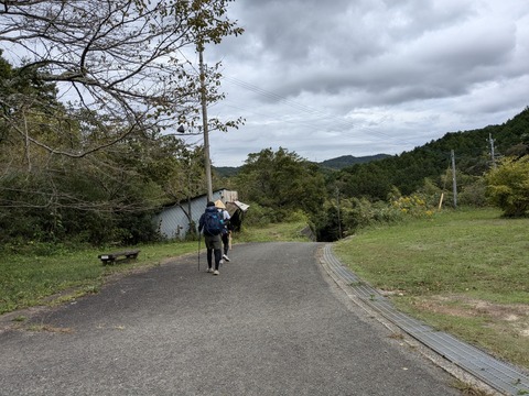 PXL_20241022_013927698