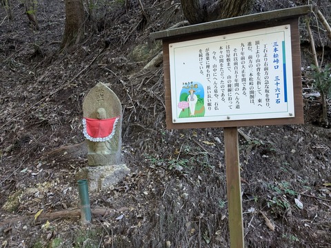 PXL_20241109_052526453