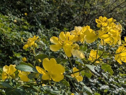 PXL_20251115_010538270