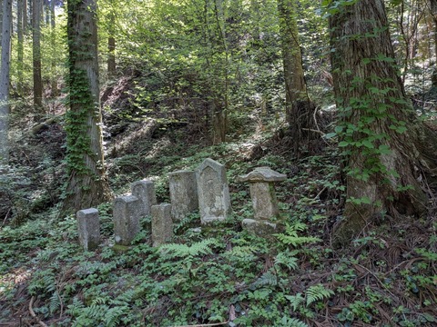 PXL_20250430_012421494