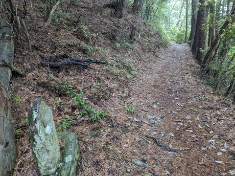 PXL_20240427_001547348