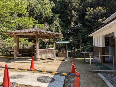 PXL_20250430_000009787