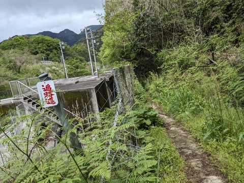 PXL_20240424_025021795