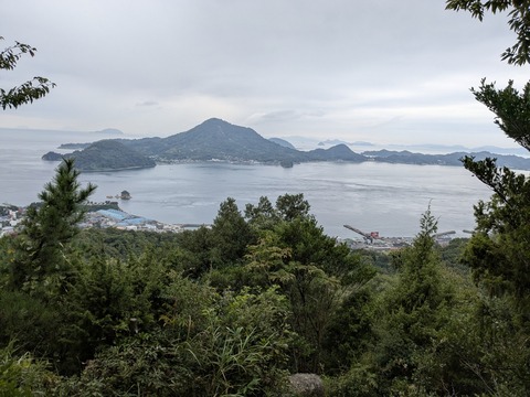 PXL_20250928_034250222