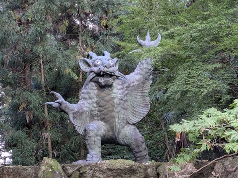 PXL_20241106_065520908