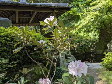 PXL_20250428_234612553