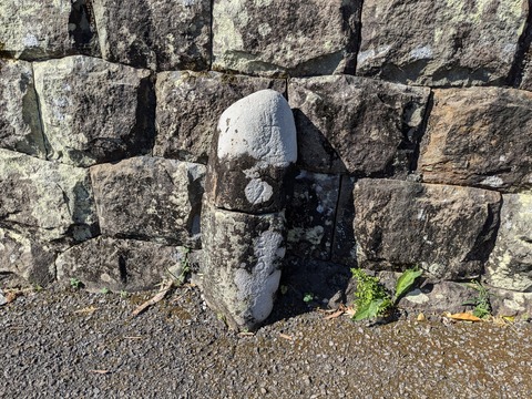 PXL_20241120_022013598