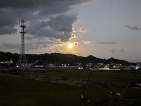 PXL_20241214_212712134