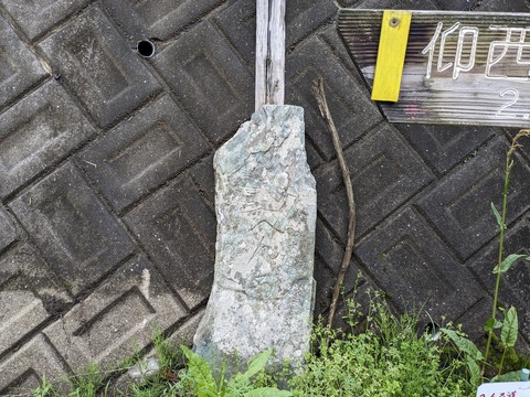 PXL_20240427_042929920