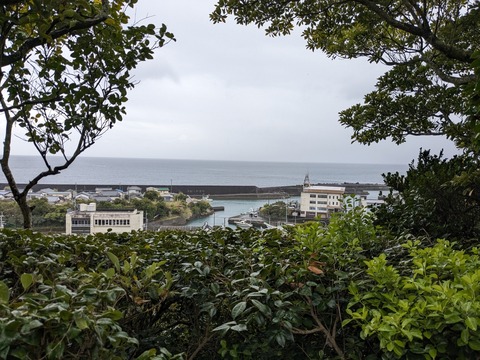 PXL_20240328_060331475