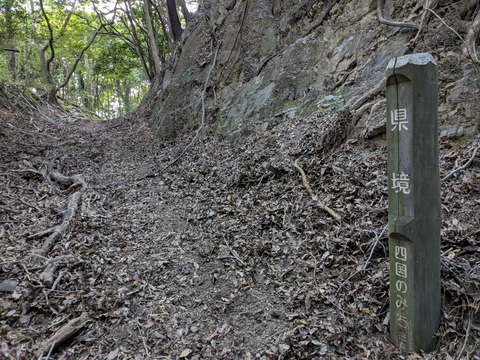 PXL_20251114_233350293