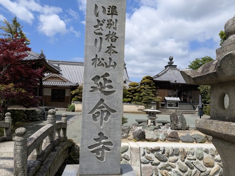 PXL_20250502_014802917