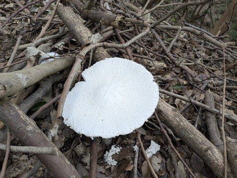 PXL_20250928_024518995