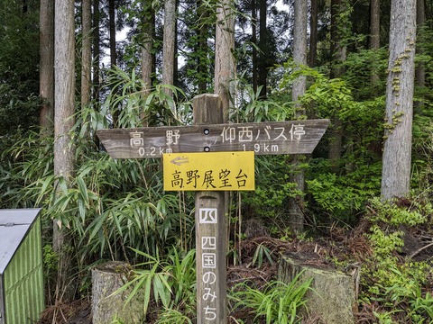 PXL_20240427_043210758